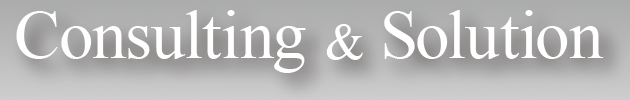 Consulting & Solution